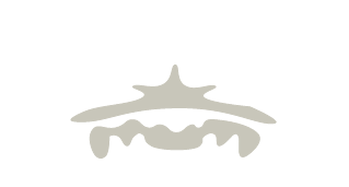 logo royal party sas